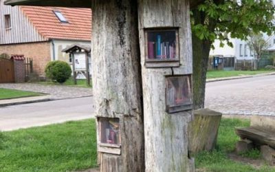 12.05.2018 Bücherbaum für Riechheim geplant
